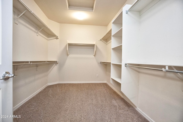 spacious closet with carpet flooring