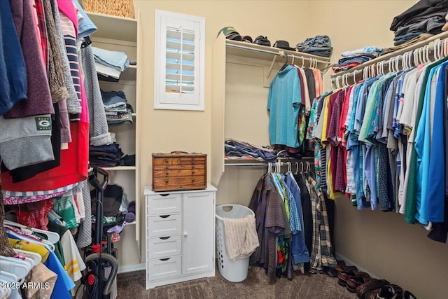 walk in closet featuring carpet flooring