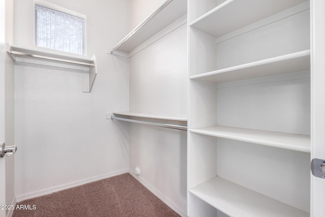 spacious closet with carpet