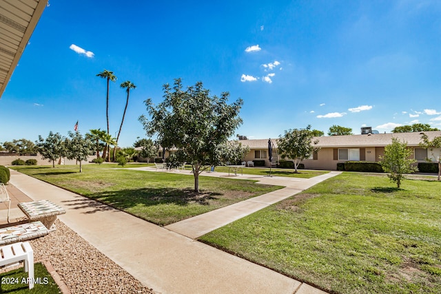 view of community featuring a yard