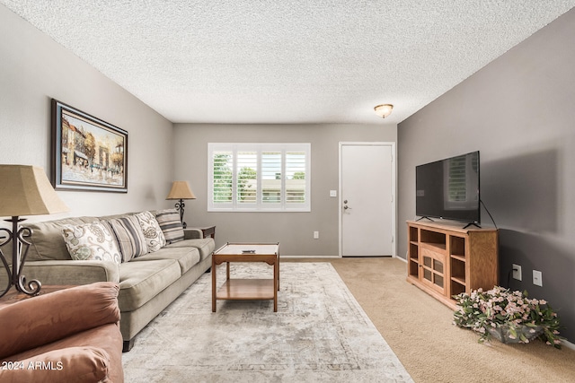 living room featuring a textured ceiling and light carpet