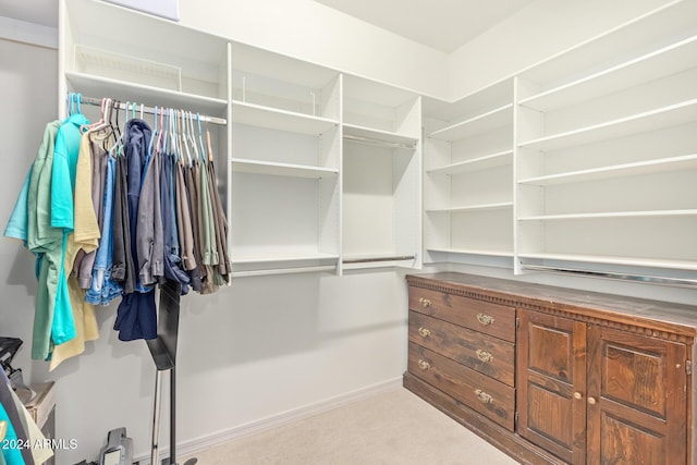 spacious closet with light colored carpet