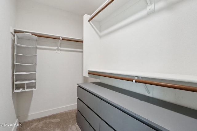 1057 W Laurel Ave, Gilbert, AZ 85233 - walk in closet featuring light colored carpet
