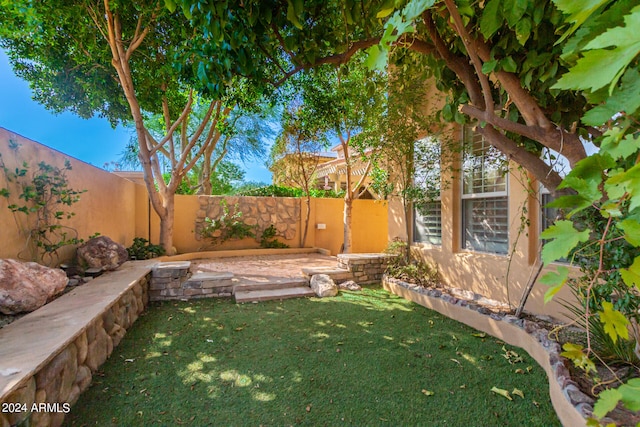 view of yard featuring a patio area