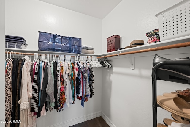 spacious closet featuring wood finished floors
