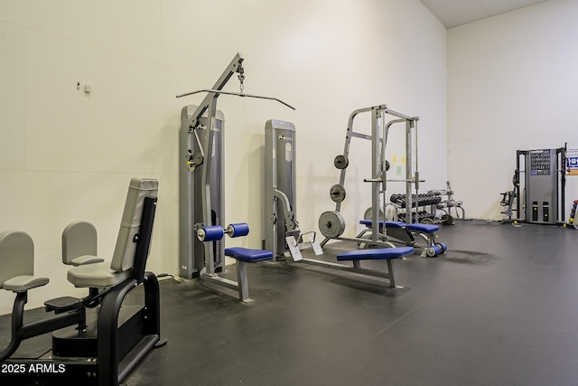 workout area with a high ceiling