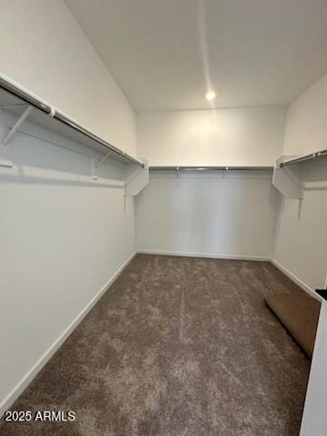 walk in closet with dark carpet