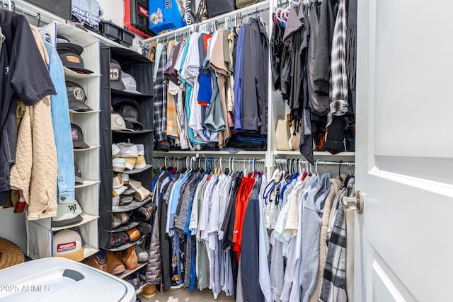 spacious closet featuring carpet flooring