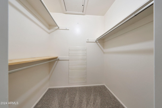 walk in closet with carpet floors