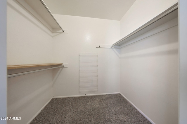 spacious closet with carpet