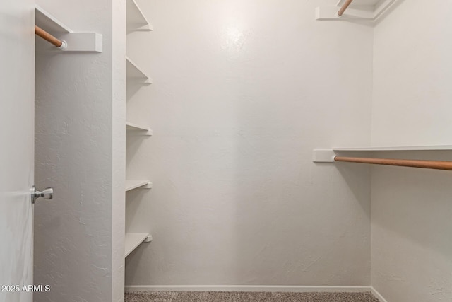spacious closet with carpet floors