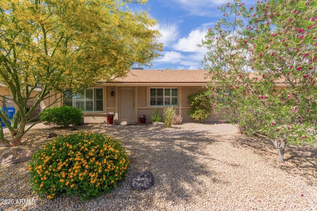 ranch-style house with stucco siding