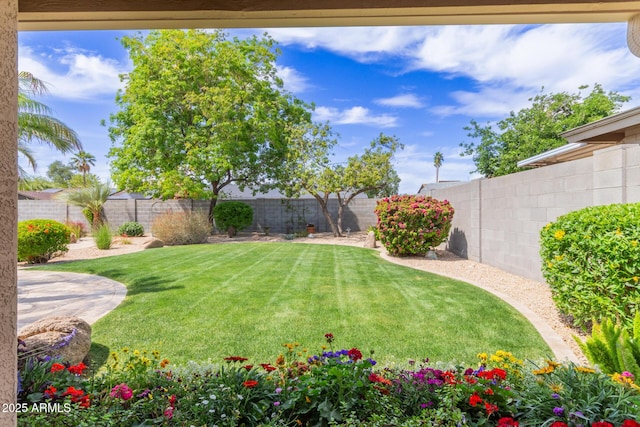 view of yard with a fenced backyard
