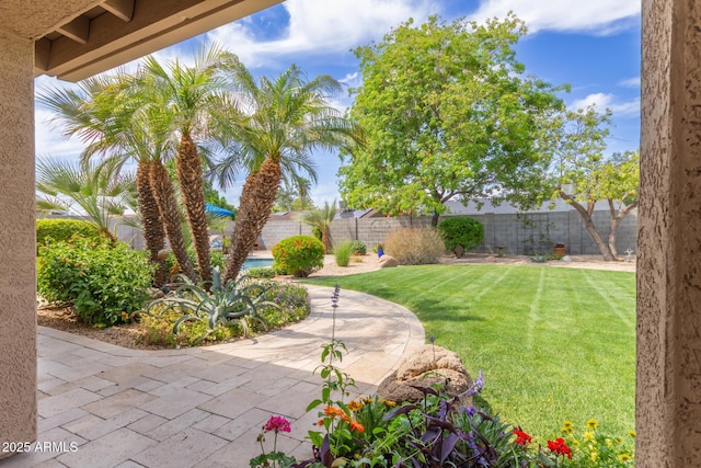 view of yard with a fenced backyard and a patio