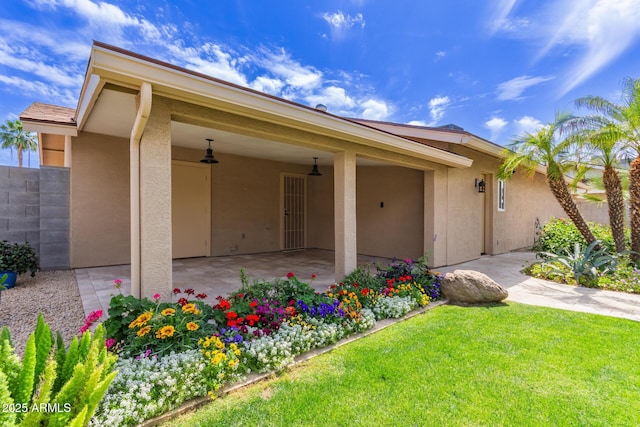 view of front of house with a patio, a front lawn, and stucco siding