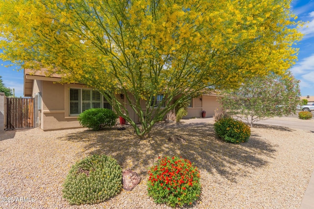obstructed view of property featuring fence and stucco siding