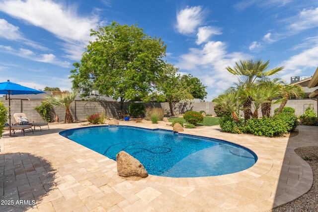 view of swimming pool featuring a fenced in pool, a fenced backyard, and a patio area