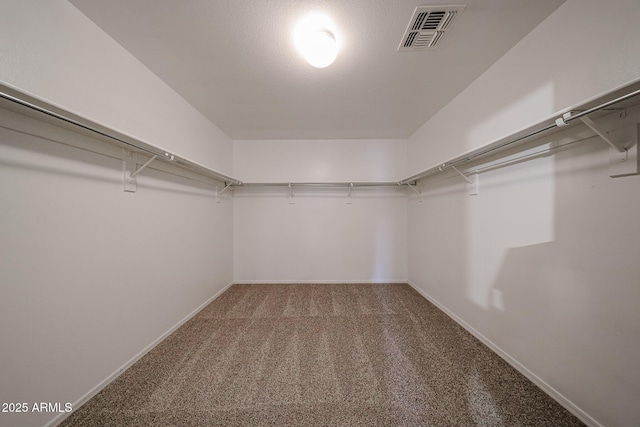 4804 S 25th Dr, Phoenix, AZ 85041 - spacious closet with carpet flooring
