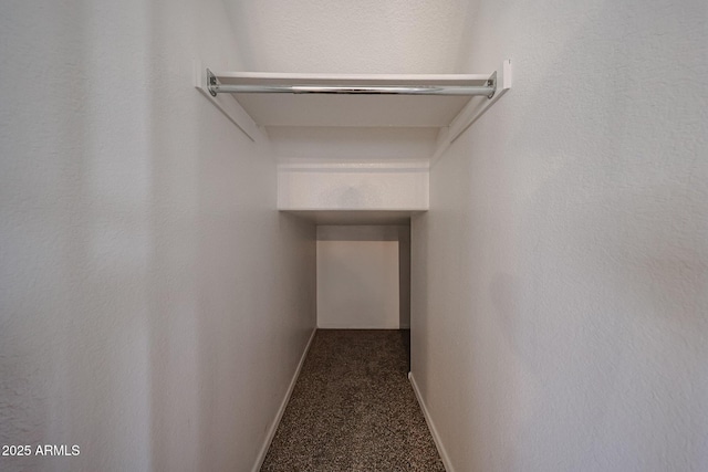 4804 S 25th Dr, Phoenix, AZ 85041 - spacious closet with carpet floors