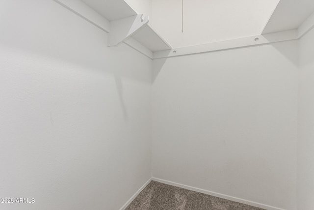 walk in closet with dark colored carpet