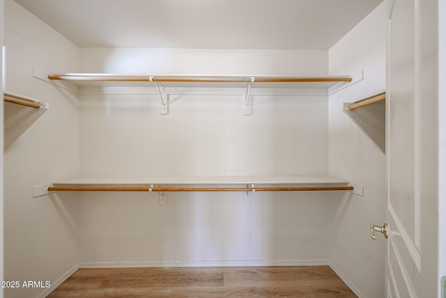 spacious closet featuring wood finished floors