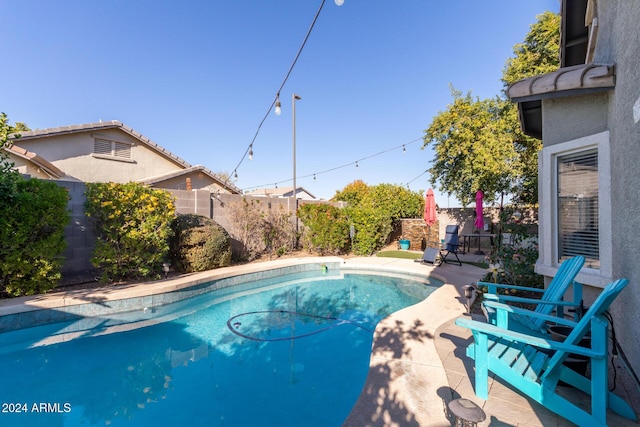 view of swimming pool with a patio area