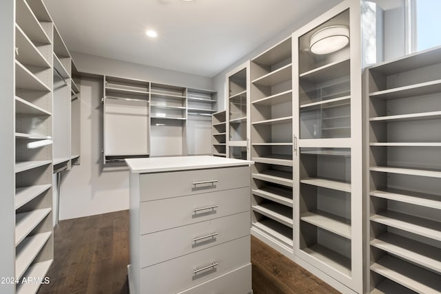 walk in closet featuring dark wood-style floors