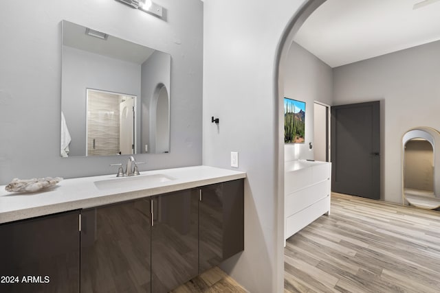 bathroom with hardwood / wood-style flooring and vanity