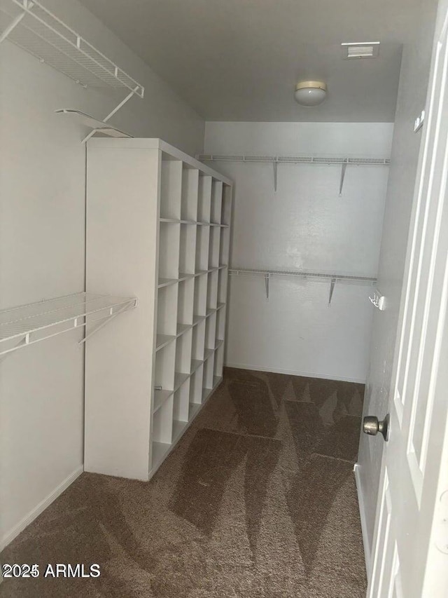 spacious closet with carpet flooring