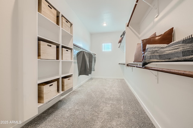 spacious closet with carpet