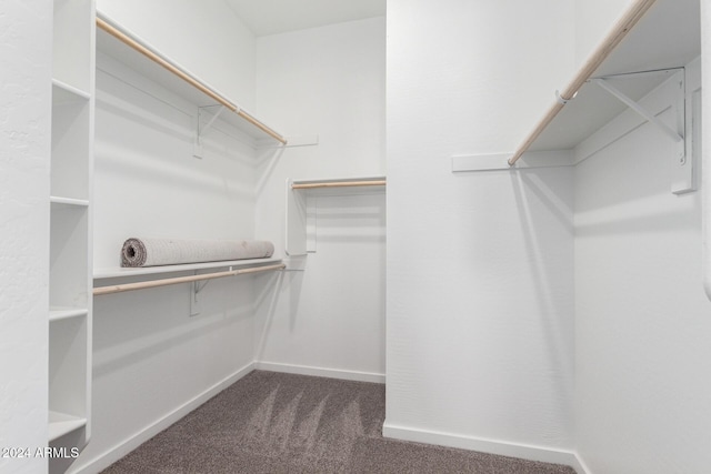 walk in closet featuring dark colored carpet