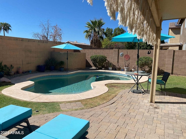 view of swimming pool featuring a patio area