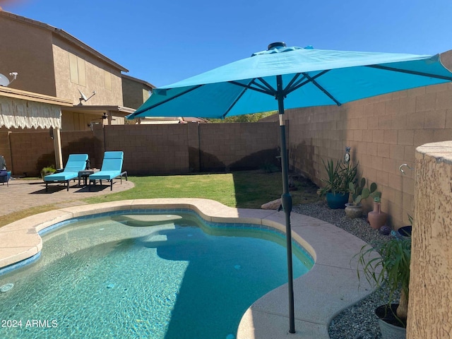 view of swimming pool with a patio area