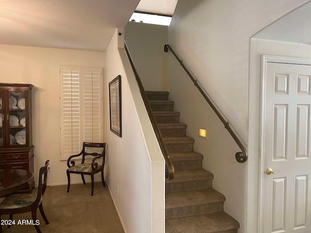 staircase featuring carpet