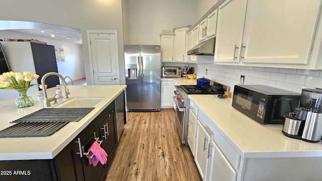 3002 W Caravaggio Ln, Phoenix, AZ 85086 - kitchen with appliances with stainless steel finishes, under cabinet range hood, light wood-type flooring, and light countertops