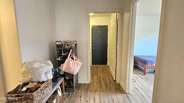 3002 W Caravaggio Ln, Phoenix, AZ 85086 - hall with wood finished floors