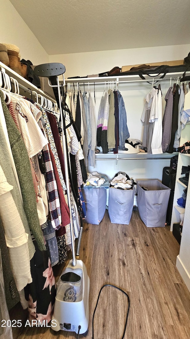 3002 W Caravaggio Ln, Phoenix, AZ 85086 - spacious closet featuring wood finished floors