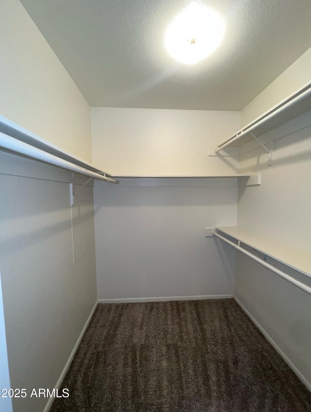 spacious closet with carpet floors