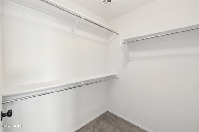 spacious closet featuring carpet floors