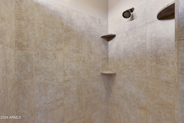 interior details with tiled shower