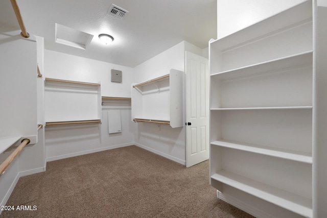 walk in closet featuring carpet floors