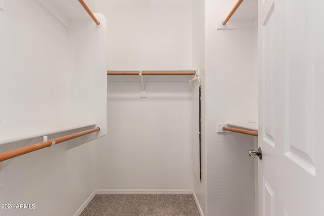 spacious closet with carpet floors