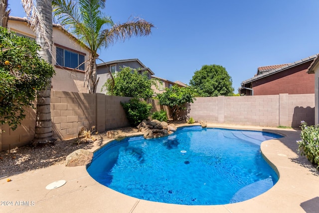 view of swimming pool with a fenced in pool and a fenced backyard