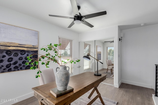 office space with ceiling fan, plenty of natural light, and hardwood / wood-style floors