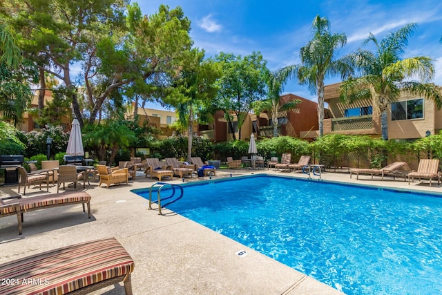 view of swimming pool with a patio and a grill