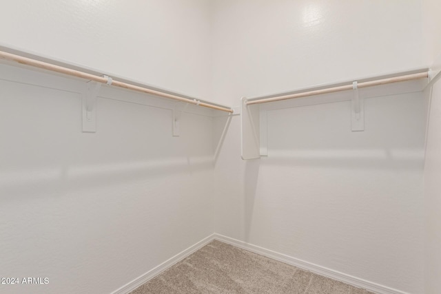 spacious closet with carpet flooring