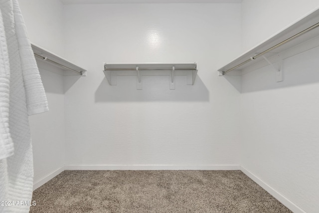 spacious closet with carpet