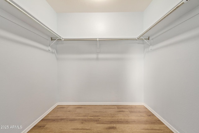 spacious closet featuring wood-type flooring