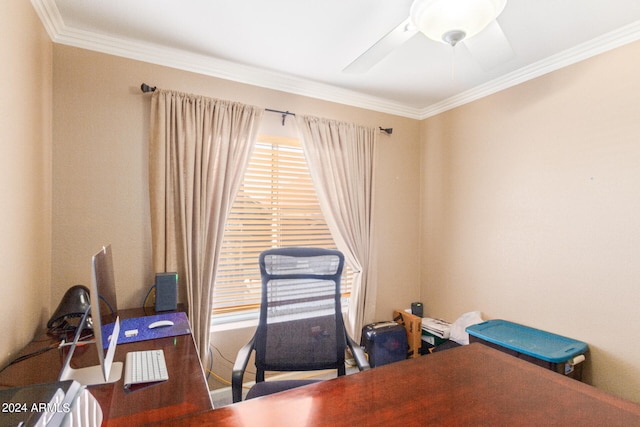 office with ceiling fan and ornamental molding