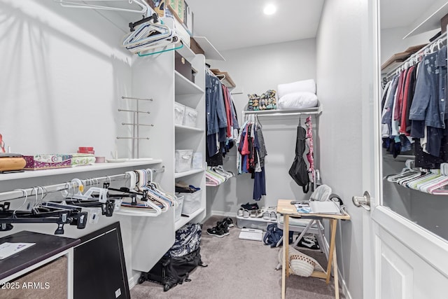 spacious closet with carpet